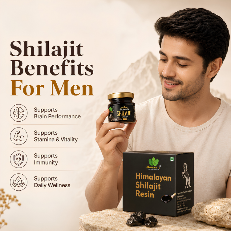 Mountain Gold Pure Himalayan Shilajit Resin 20g | 80 Serving