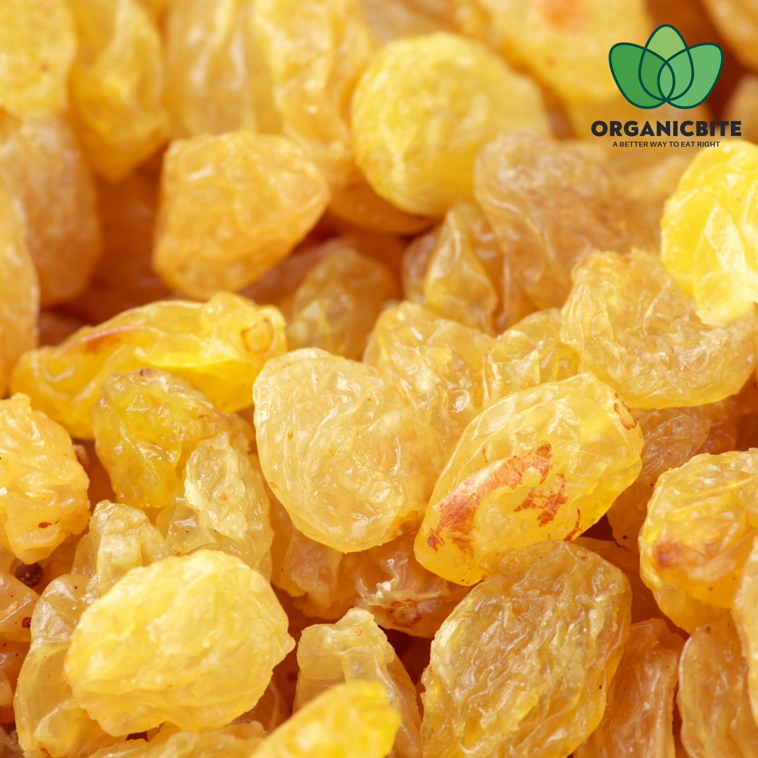 Raisins - 100% Natural Raisins Handpicked by farmers
