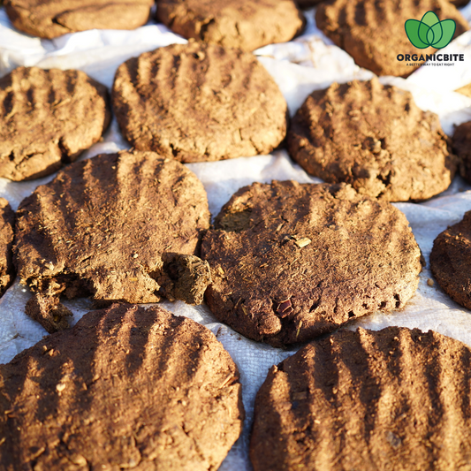 Cow Dung Cake