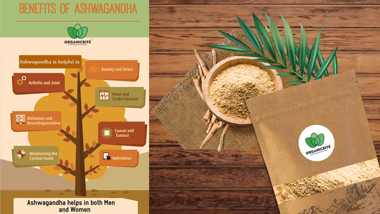 Ashwagandha - Uses, Side Effects, and More – Organicbite