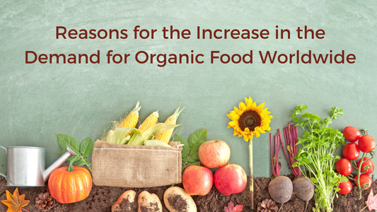 Reasons for the Increase in the Demand for Organic Food Worldwide