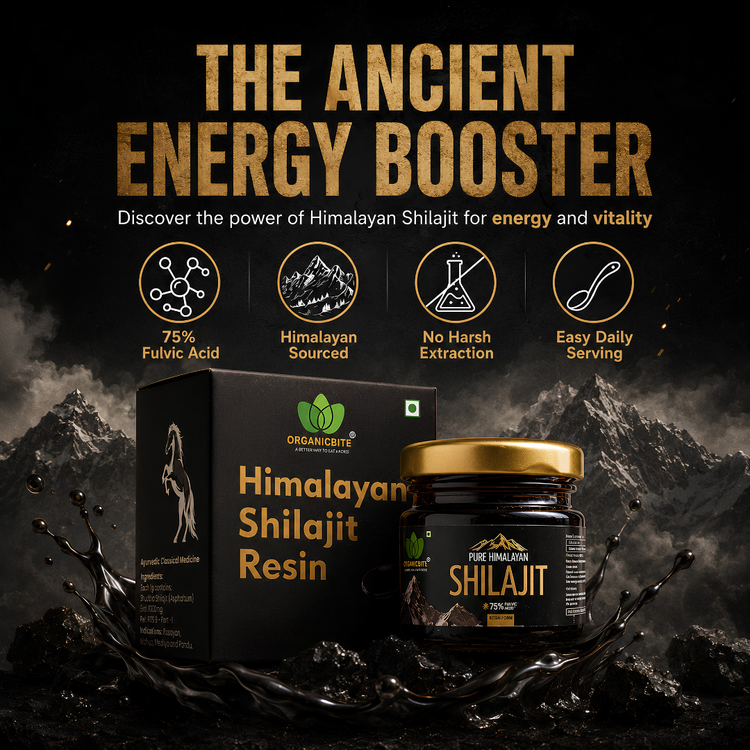 Mountain Gold Pure Himalayan Shilajit Resin 20g | 80 Serving