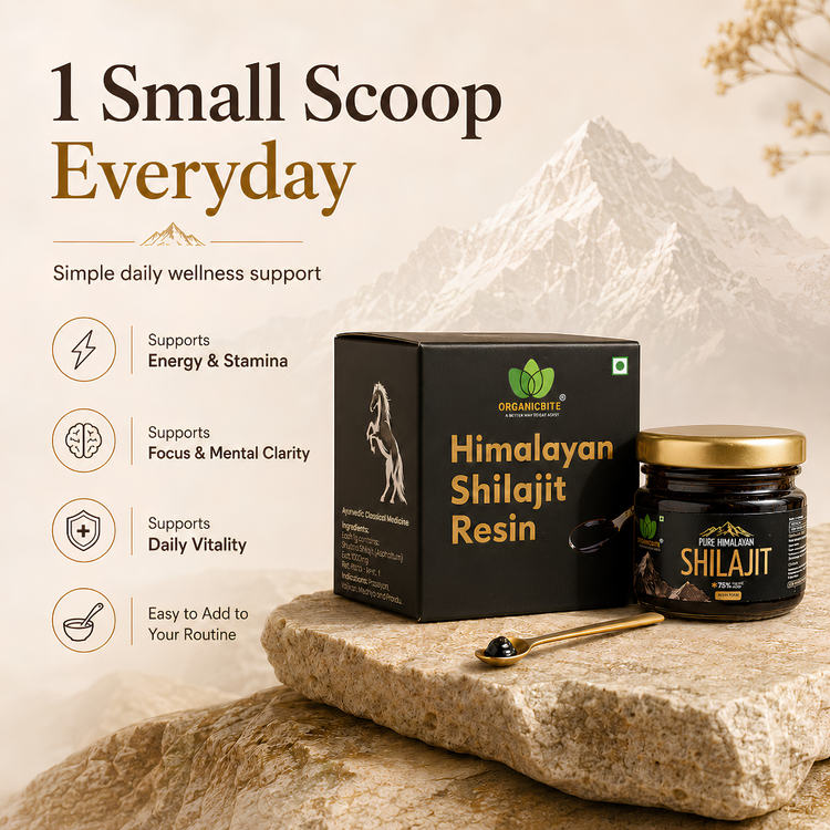 Mountain Gold Pure Himalayan Shilajit Resin 20g | 80 Serving