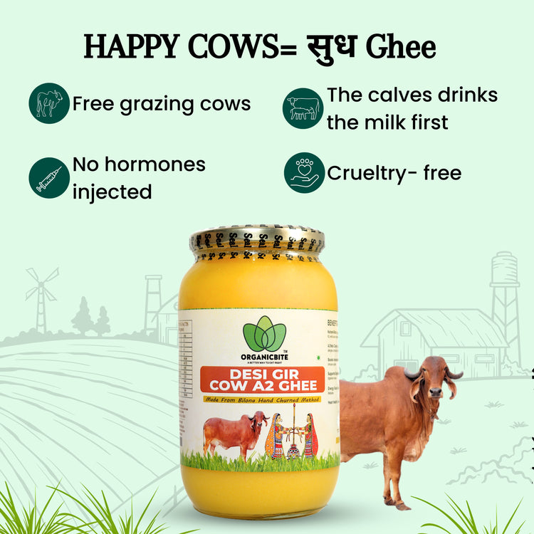 A2 Vedic Gir Cow Ghee